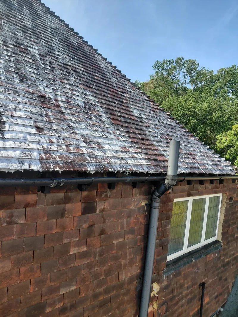 Roof tiles with cleaning treatment applied above the gutter and downpipe